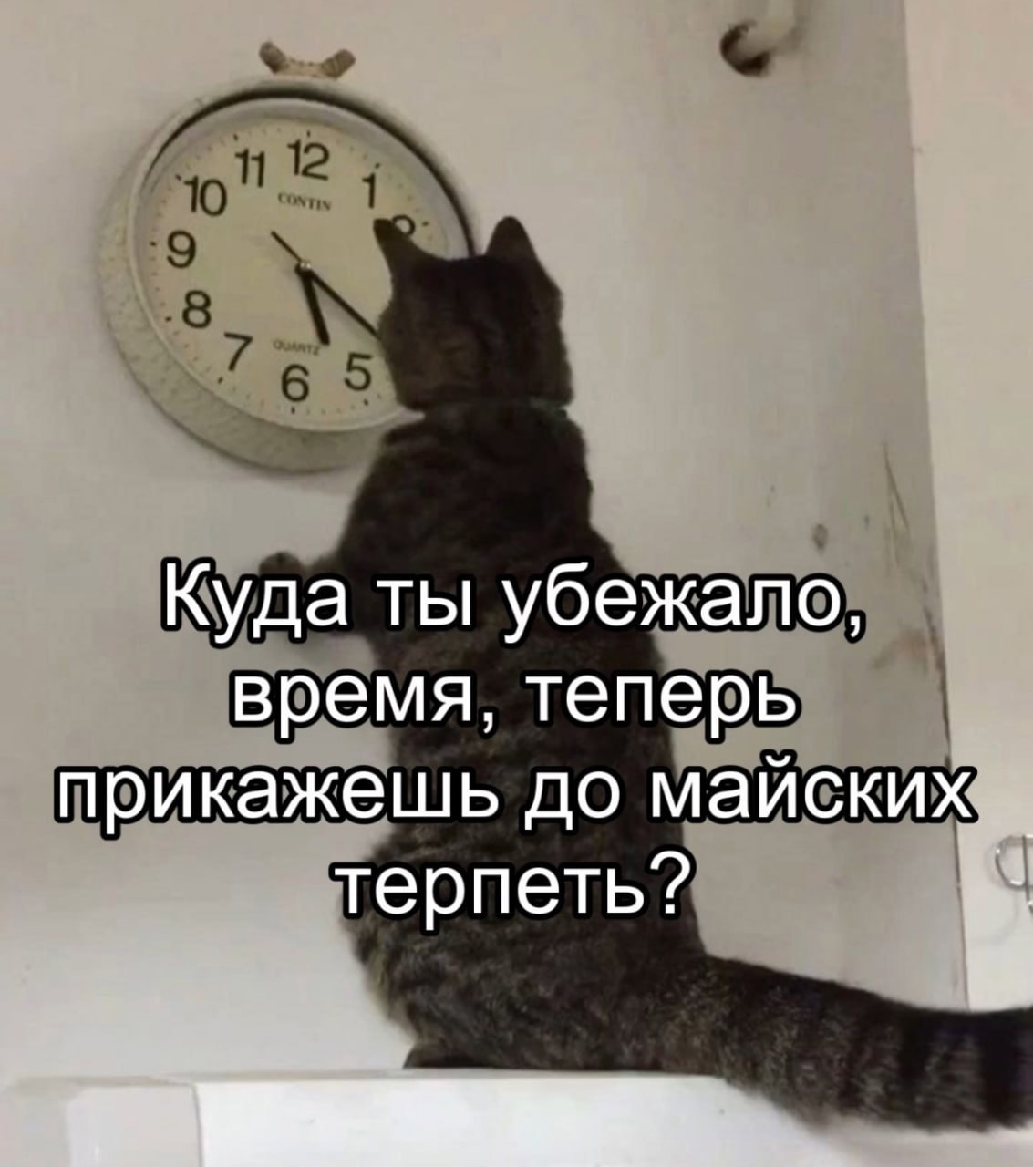 📊 KPI по мемам | Сетка — социальная сеть от hh.ru