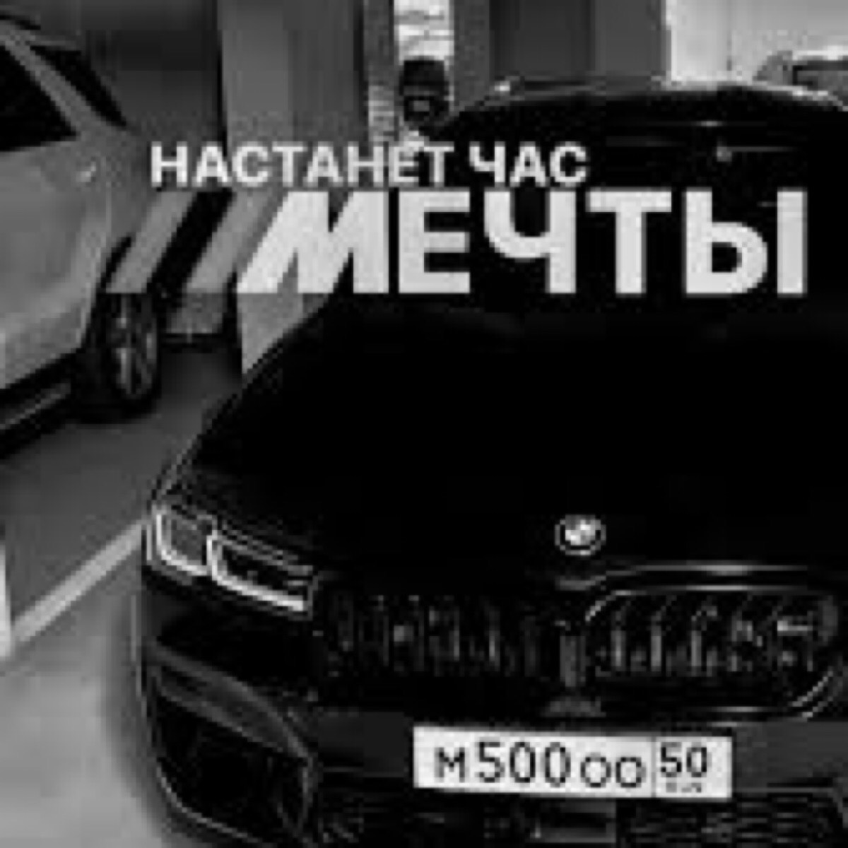 Давид Казначевский