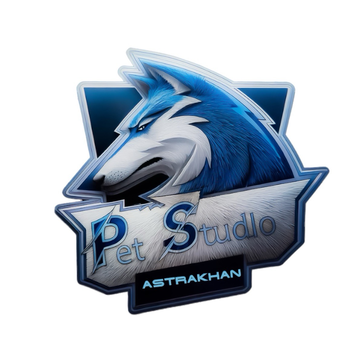 Pet Studio