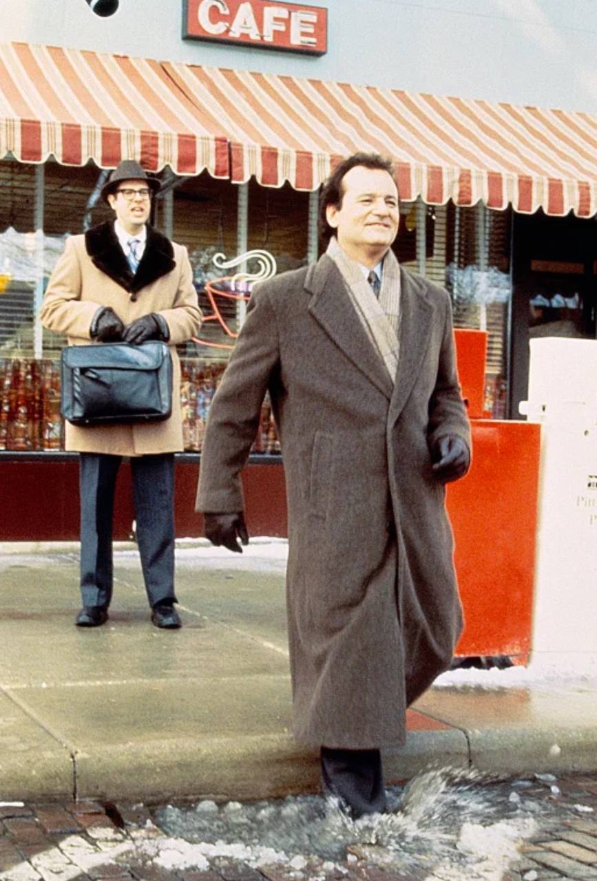 День суркаКогда ты на больничном, то у тебя каждый день похож на предыдущий. 
Проснулся — лекарства, процедуры, проверил почту на важное, чай с медом и лимоном — повторяешь | Сетка — социальная сеть от hh.ru