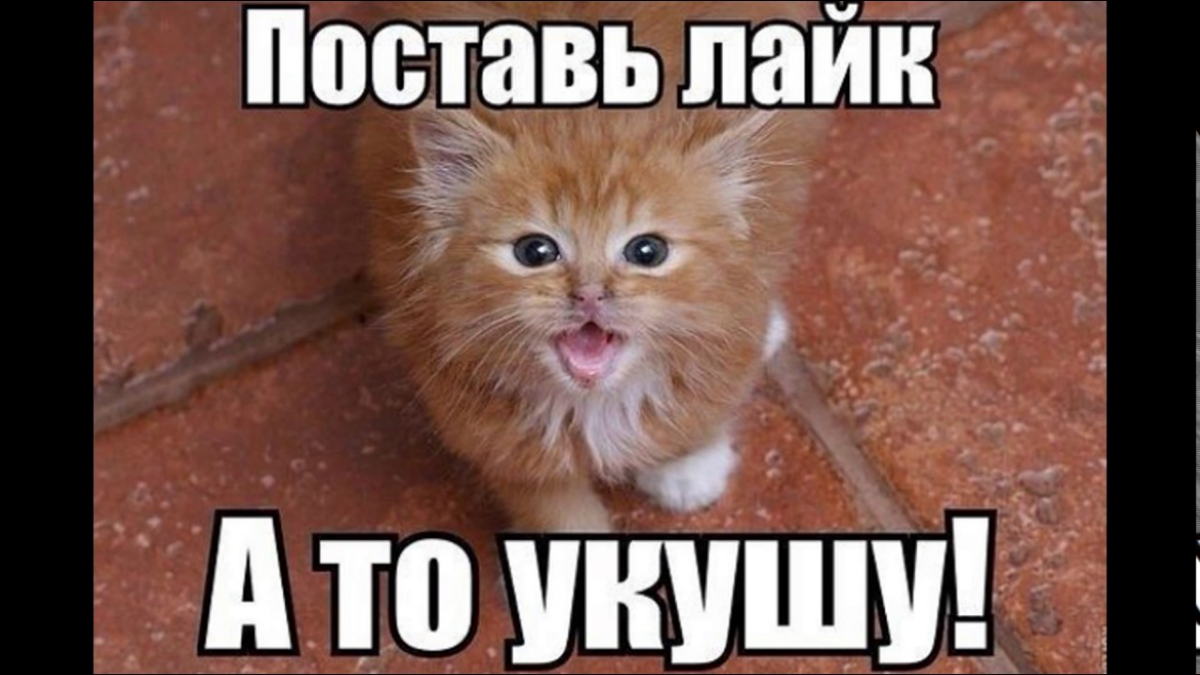 Проверим щедрость людей в сетке! | Сетка — социальная сеть от hh.ru