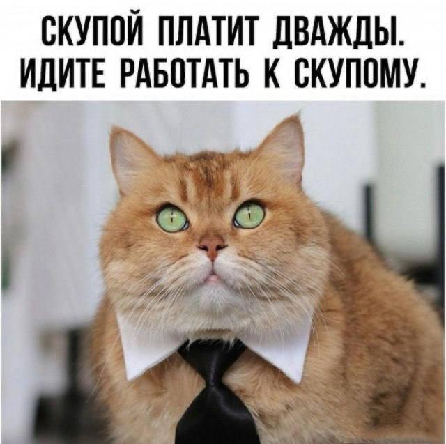 Мем
Рубрика позавчерашний мем. Делись в комментариях своим любимым мемом прошлой недели
#настявшляпе #мемвшляпе | Сетка — социальная сеть от hh.ru