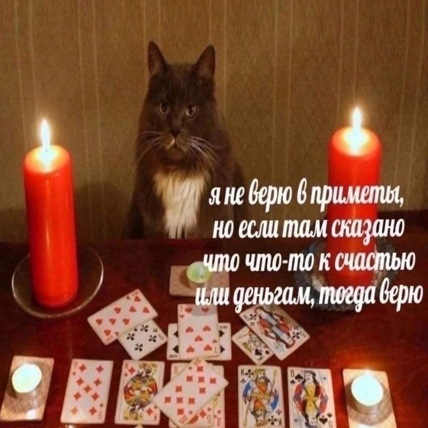 Диджитал-гороскоп на неделю📈🌟🪄 | Сетка — социальная сеть от hh.ru