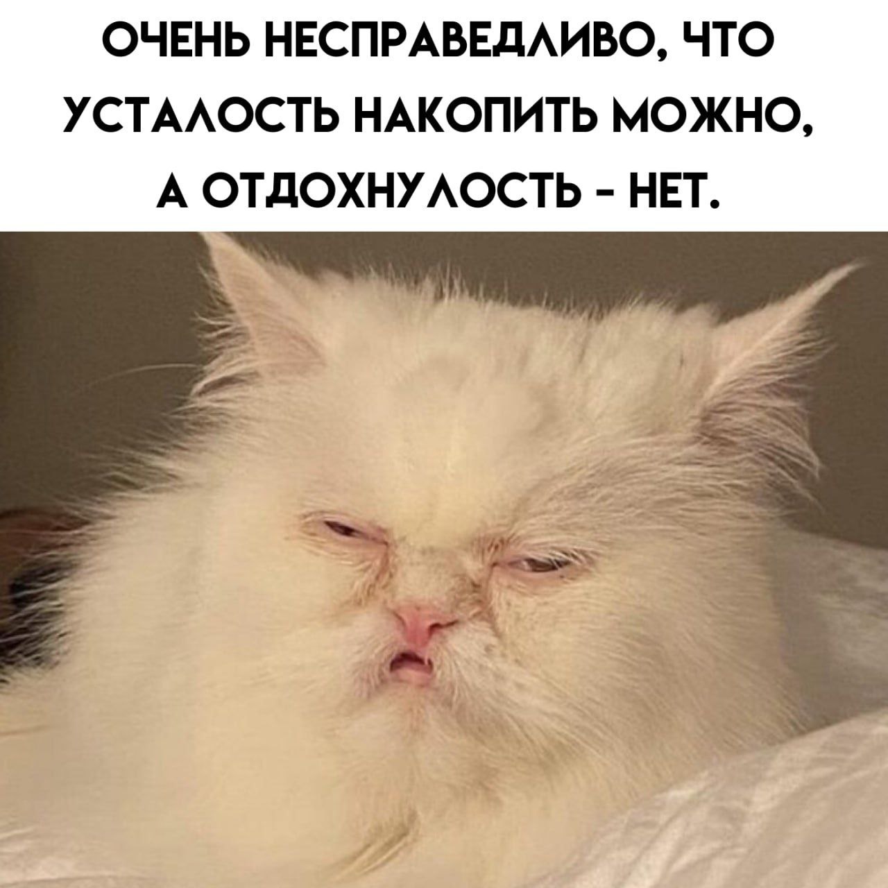 Понедельничное 😒 | Сетка — социальная сеть от hh.ru