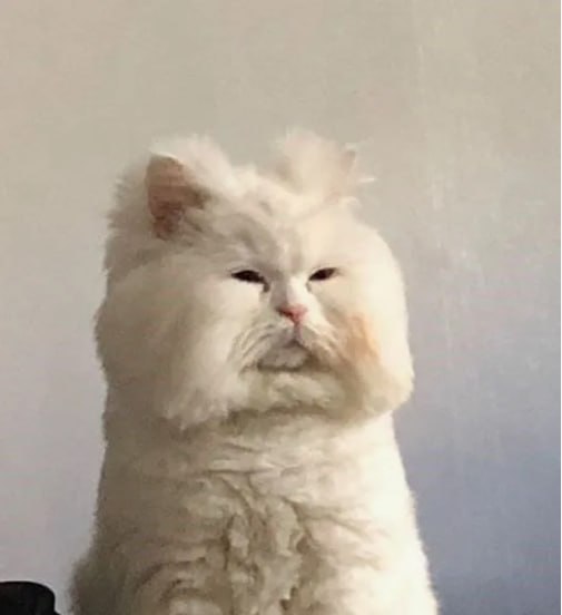 Каррент муд.
Всех с понедельником: держитесь программачи! | Сетка — социальная сеть от hh.ru