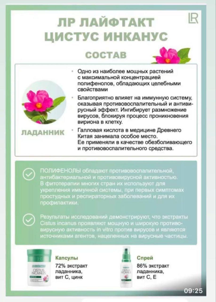 ЭТИ ПРИРОДНЫЕ СРЕДСТВА - МАКСИМАЛЬНО БЫСТРО ПОМОГАЮТ СПРАВЛЯТЬСЯ С ВИРУСАМИ, ЗАЩИТЯТ ОТ ПРОСТУДЫ:
🌱Обладают противовоспалительным эффектом, препятствуют проникновению вирусов в клетку, предотвращают з... | Сетка — социальная сеть от hh.ru