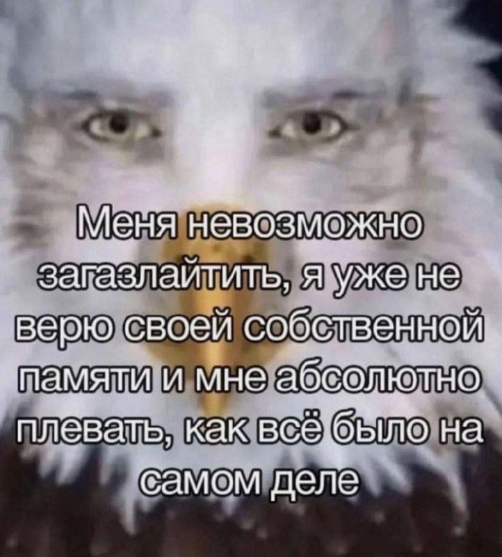 типичный представитель службы заказчика | Сетка — социальная сеть от hh.ru
