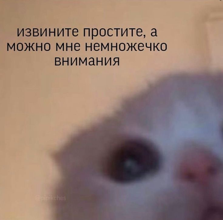 Хэллоу! А здесь видят посты только мои подписчики или есть «рекомендованные»?
Интересно, если я буду делать небольшие тредсы, а у меня 0 подписчиков, то их получается никто не увидит… 👉🏼👈🏼🥺 | Сетка — социальная сеть от hh.ru