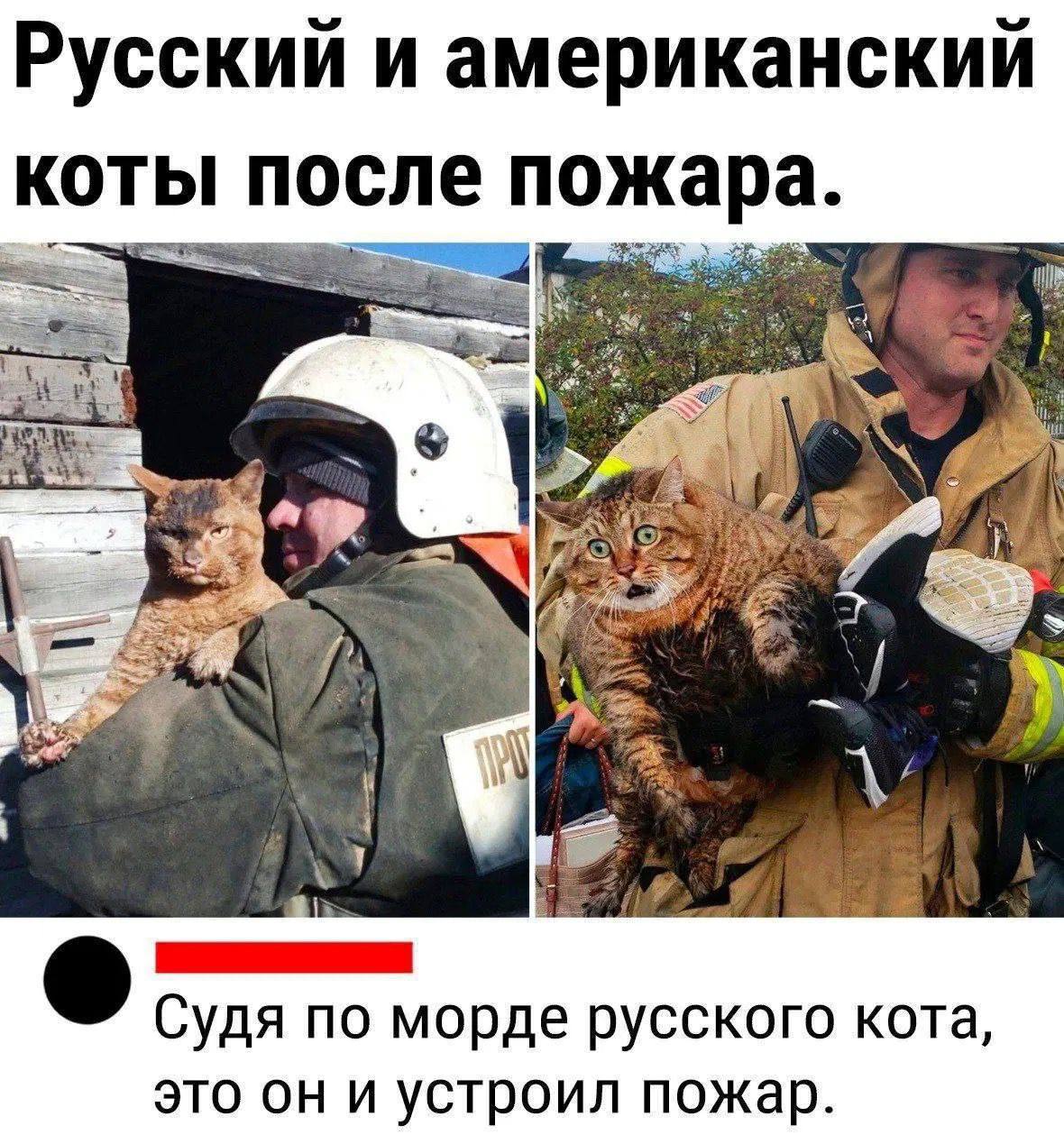 🔴ТЧК. Подписаться | Сетка — социальная сеть от hh.ru