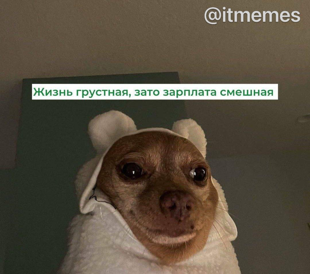 Так и живем.. | Сетка — социальная сеть от hh.ru