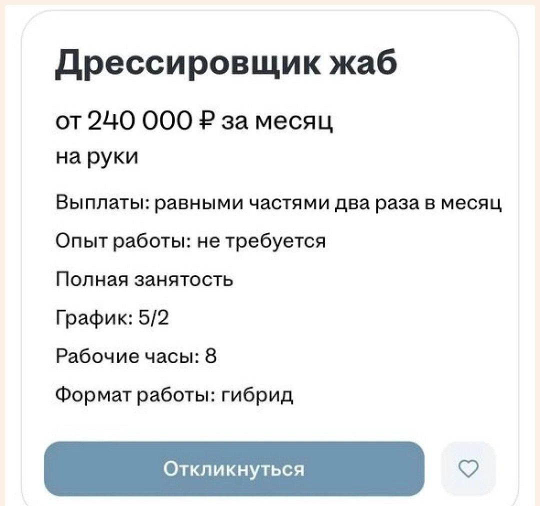 Начнём вторник с весёлой ноты😄 | Сетка — социальная сеть от hh.ru