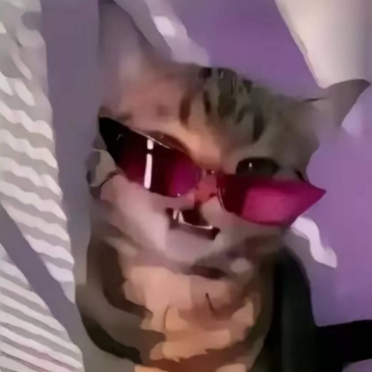 Карина Шумова