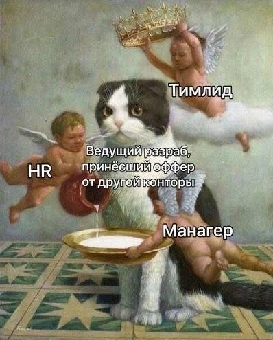 🤣🤣🤣🤣 | Сетка — социальная сеть от hh.ru