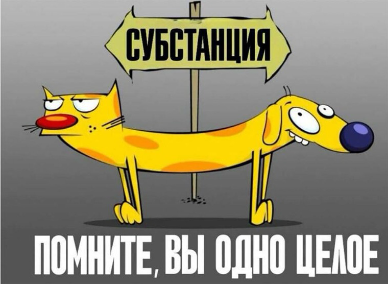 Он хочет сделать жене грудь, она - увеличить ему…
Ну вы поняли. И это не спойлер к фильму «Субстанция».
Кстати, смотрели этот трэш, ставший кладезью для мемов?! Что думаете?
Но вернемся к нашей теме | Сетка — социальная сеть от hh.ru