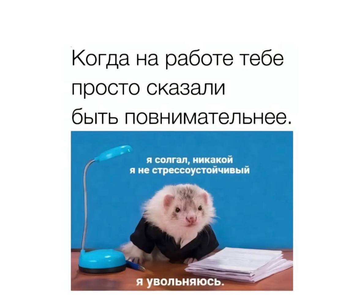 Объявляем легальный перерыв на посмеяться 😉 | Сетка — социальная сеть от hh.ru