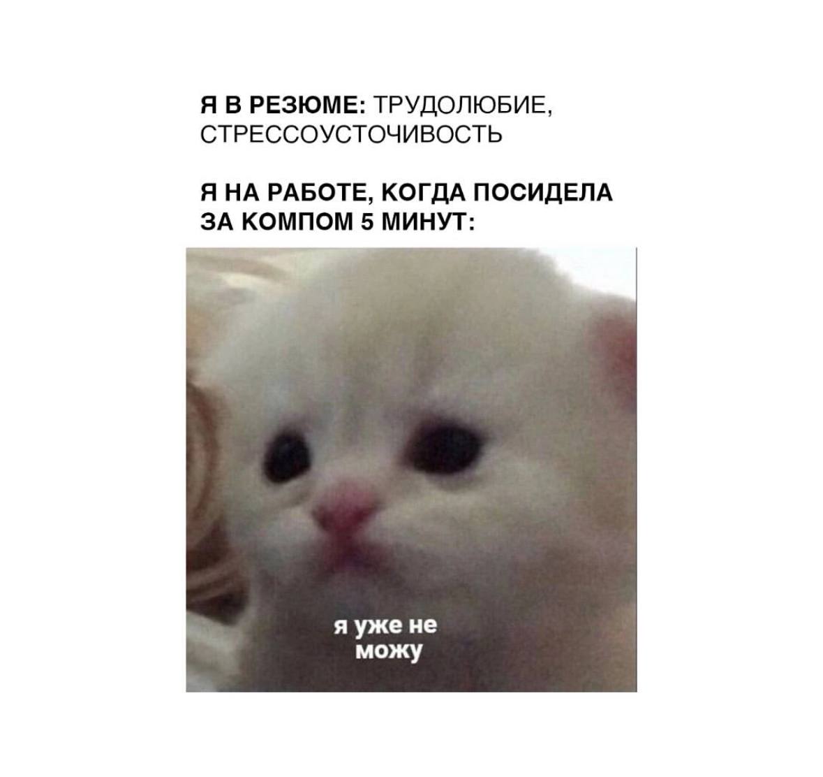 Объявляем легальный перерыв на посмеяться 😉 | Сетка — социальная сеть от hh.ru