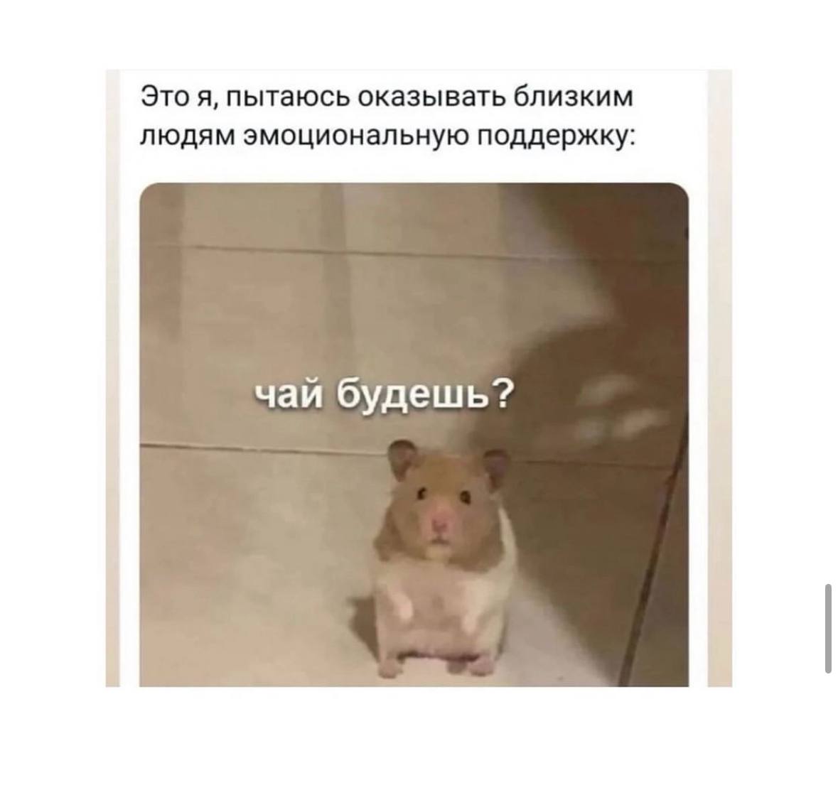 Объявляем легальный перерыв на посмеяться 😉 | Сетка — социальная сеть от hh.ru