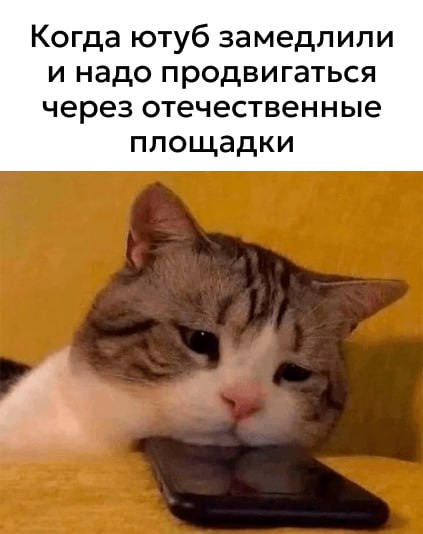 Ютуб умер, да здравствует...
Признайтесь честно, вот вы поняли, что конкретно произошло с Ютубом? То замедлили, то ускорили, у одних провайдеров работает, у других нет.. | Сетка — социальная сеть от hh.ru