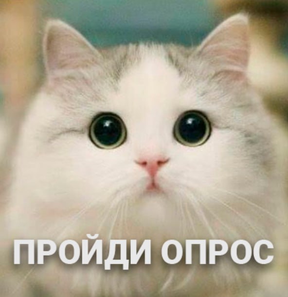 Это правда важно исследование.
Оно правда бесплатное и будет опубликовано в открытом доступ.
Если ты взаимодействуешь с сообществами, то самое время заполнить АНКЕТУ: https://forms.yandex | Сетка — социальная сеть от hh.ru