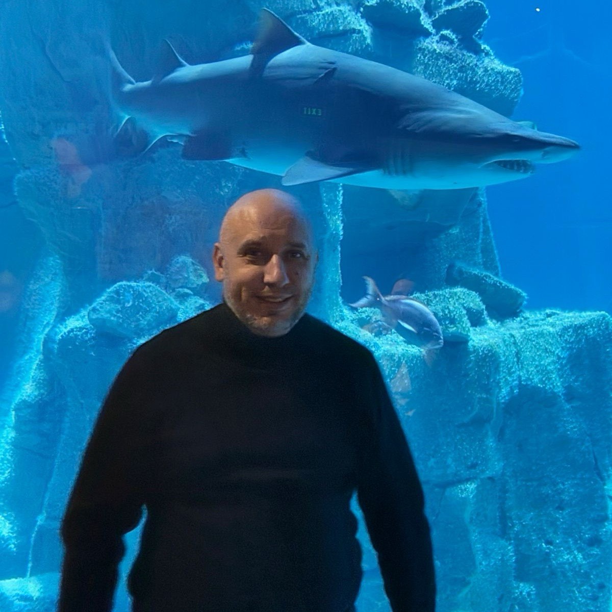 Еагений Лухтан | Сетка — социальная сеть от hh.ru