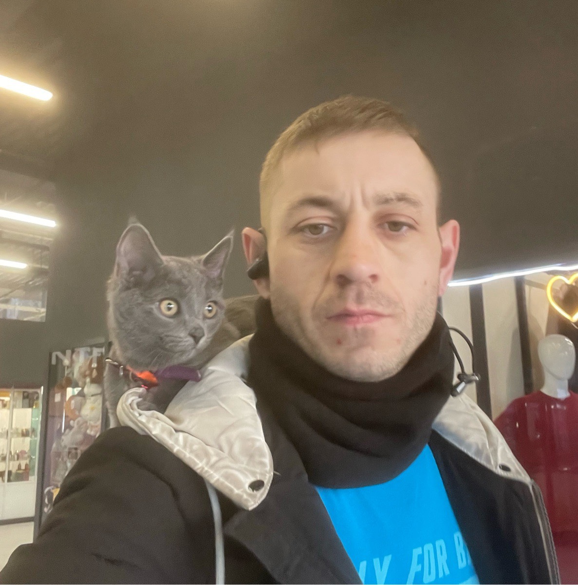 Бороздин Дмитрий | Сетка — социальная сеть от hh.ru