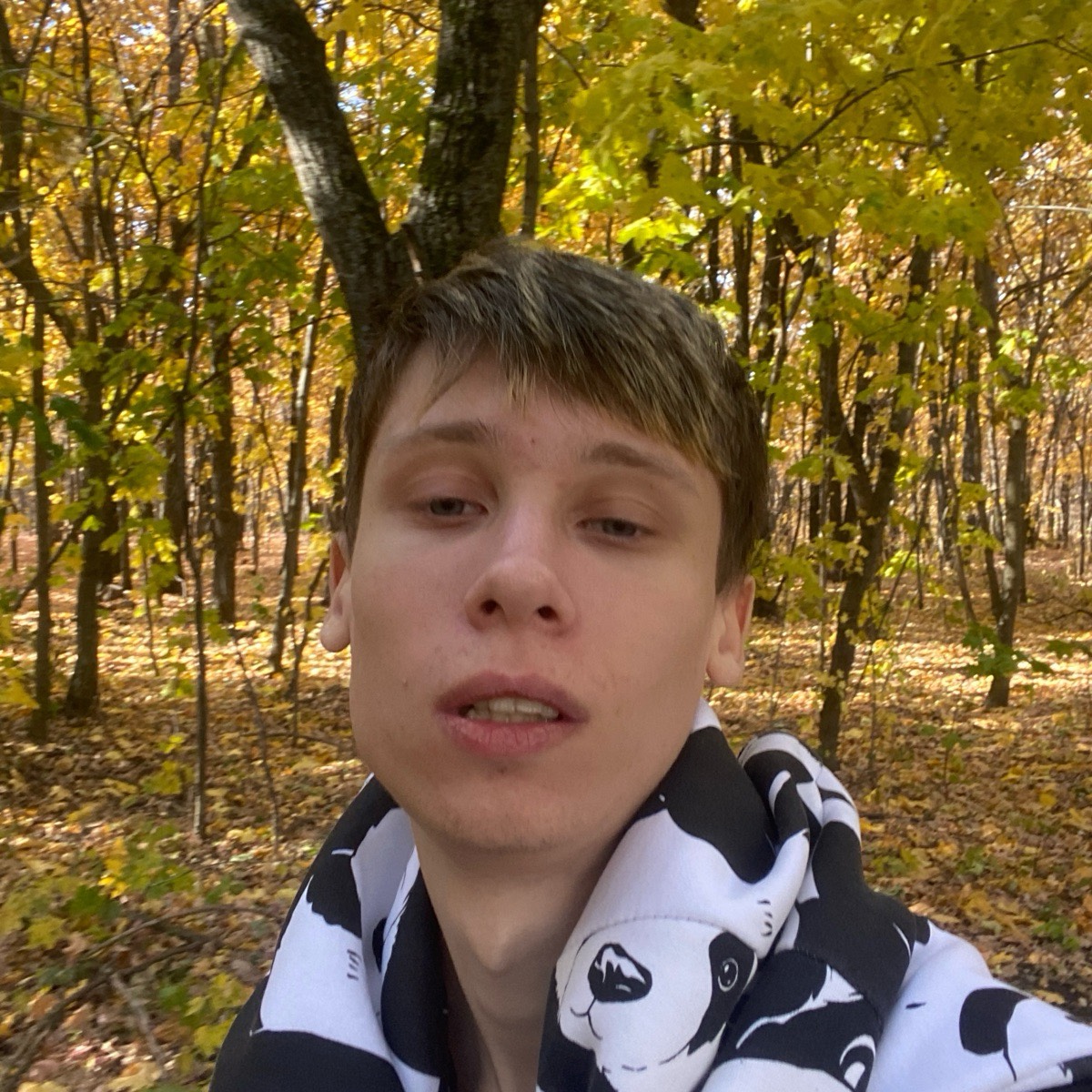 Арсений Зимин