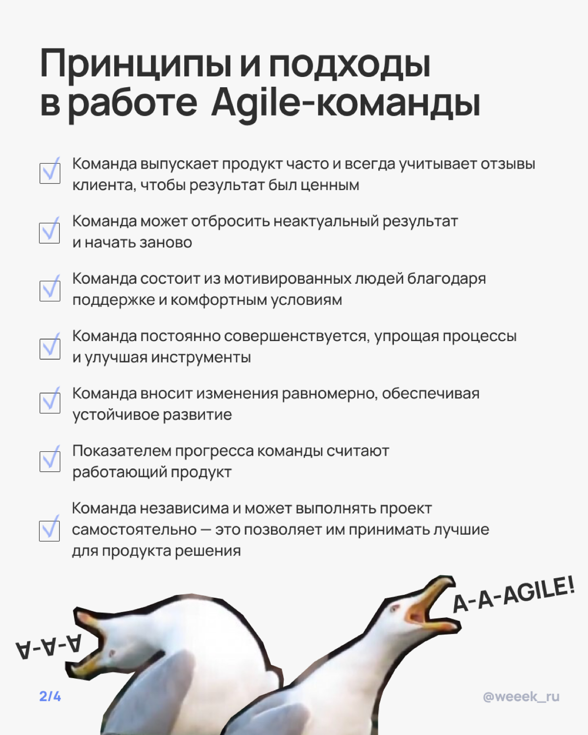 Мечтаешь о команде, которая сама всё делает, а ты просто наблюдаешь? Ну, почти так и будет, если правильно внедрить Agile. В карточках разобрали, как это сделать 🏆 | Сетка — социальная сеть от hh.ru