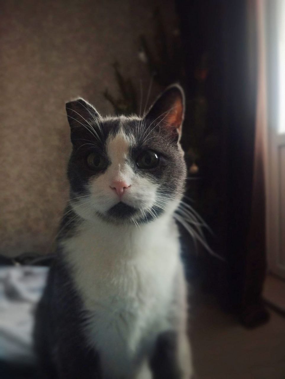 Всем доброе утро! Да, я до сих пор не выкинул ёлку 🤣 | Сетка — социальная сеть от hh.ru