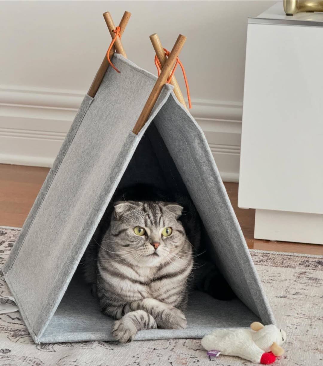 Милота, канадская IKEA выпустила уютный домик-вигвам для котов за 20 канадских долларов (1365 рублей). Пишут, что хвостатые могут ощутить себя в безопасности, расслабиться и хорошо выспаться | Сетка — социальная сеть от hh.ru
