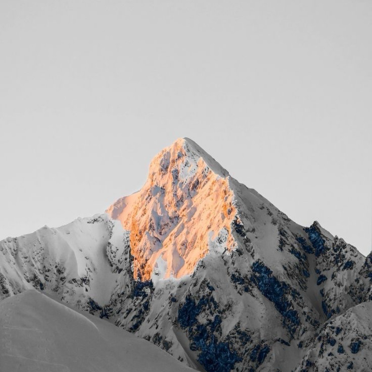 Никита Фукс | Сетка — социальная сеть от hh.ru