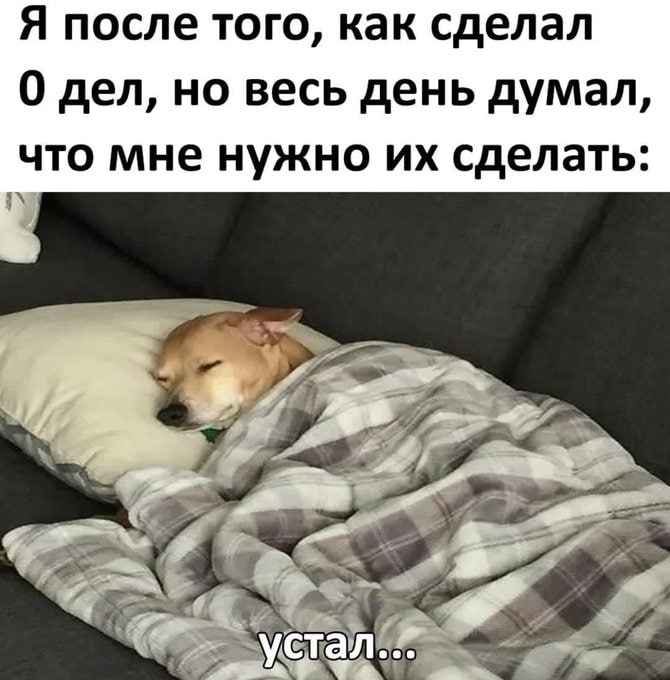 📊 KPI по мемам | Сетка — социальная сеть от hh.ru