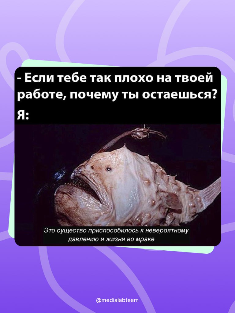 😂 Жиза? — теперь это наша постоянная рубрика с мемами. Поднимаем настроение тебе, тебе и каждому в принципе!
@medialabteam 🤍 | Сетка — социальная сеть от hh.ru