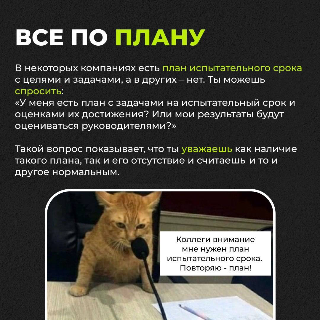 Раз, два, три — полет нормальный | Сетка — социальная сеть от hh.ru