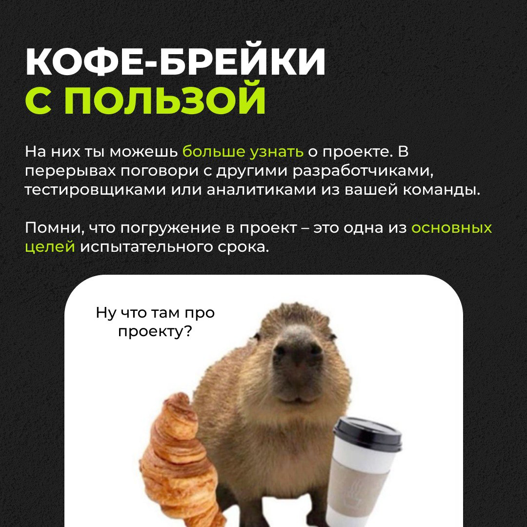 Раз, два, три — полет нормальный | Сетка — социальная сеть от hh.ru