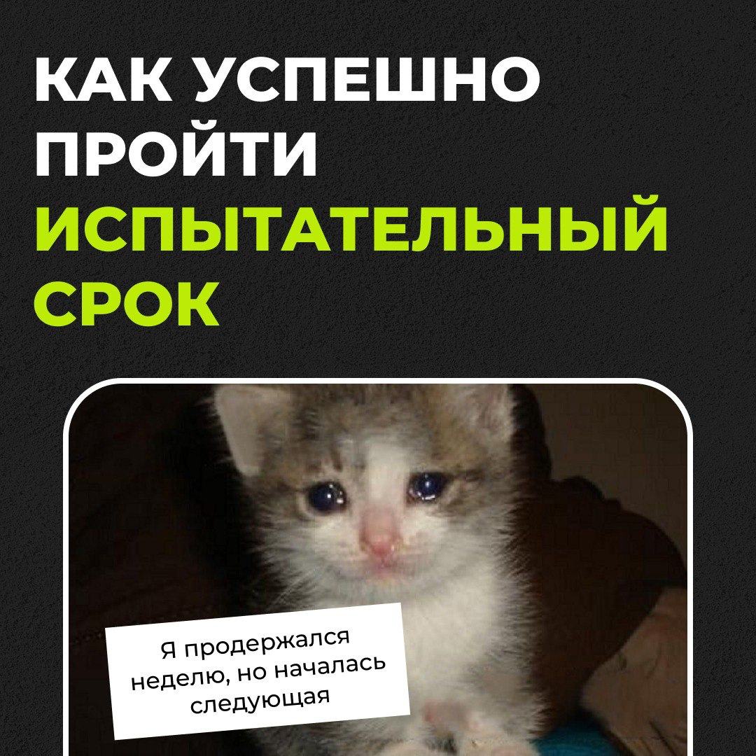 Раз, два, три — полет нормальный | Сетка — социальная сеть от hh.ru
