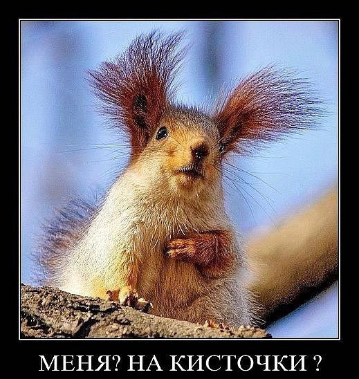 Рисование. ИЗО. 😁👍👉https://t.me/hellogarag | Сетка — социальная сеть от hh.ru