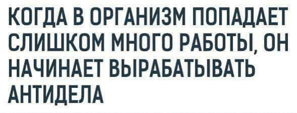 Сетка — социальная сеть от hh.ru