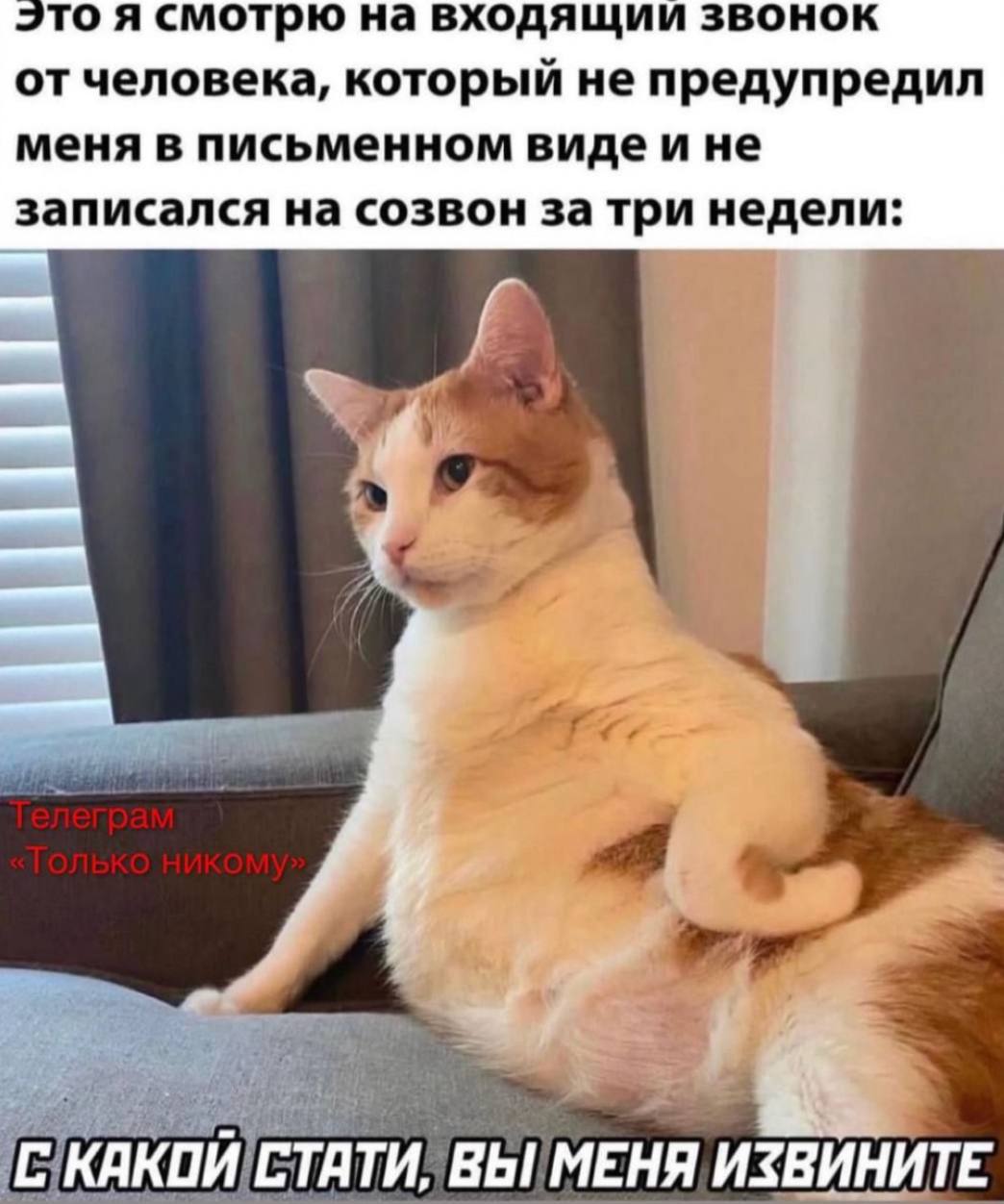 Пятничных мемчиков пост!
Присылайте свои в комментарии)) 🔽
#мемчики | Сетка — социальная сеть от hh.ru