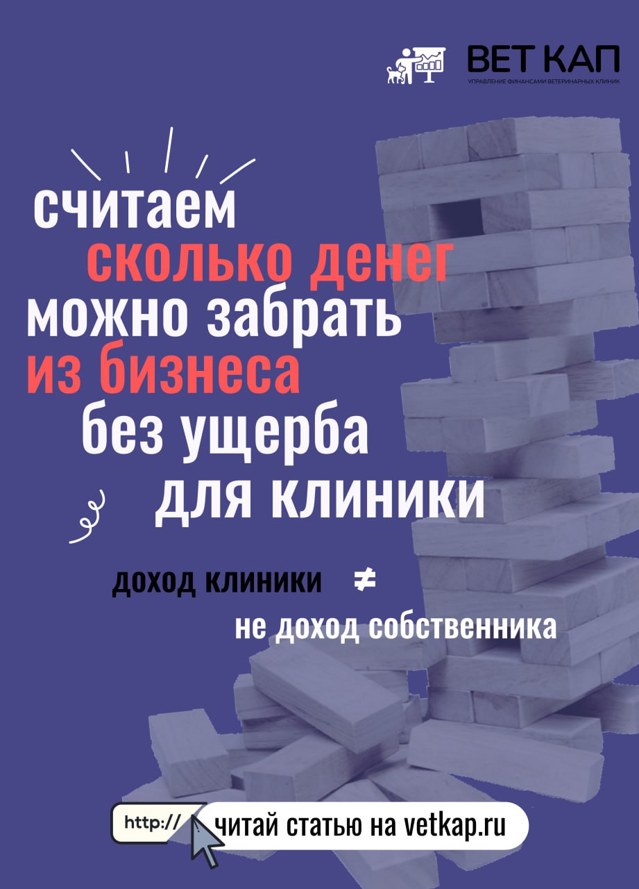 Финансовая подушка для ветеринарных клиник: как копить и выводить | Сетка — социальная сеть от hh.ru