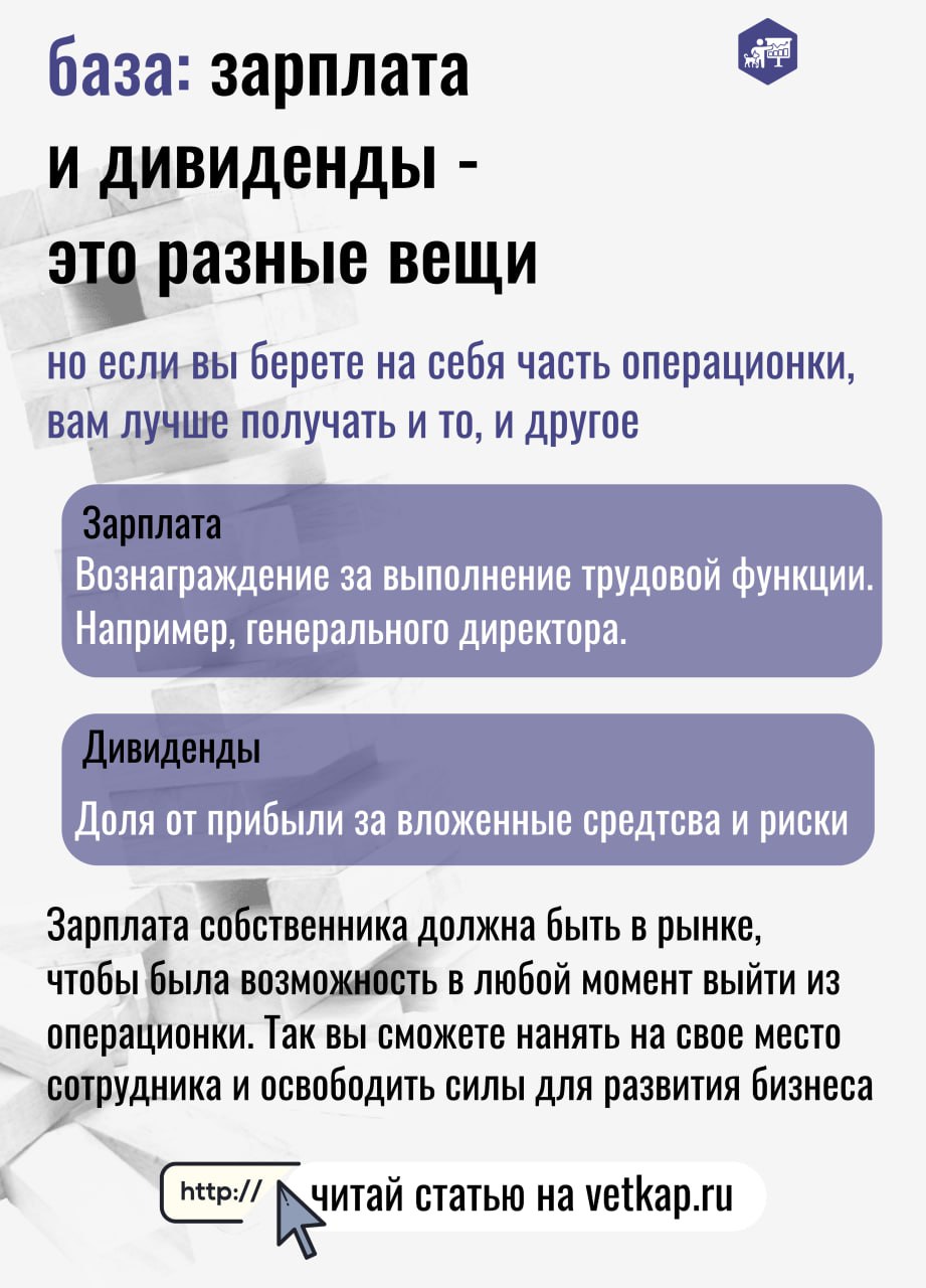 Финансовая подушка для ветеринарных клиник: как копить и выводить | Сетка — социальная сеть от hh.ru