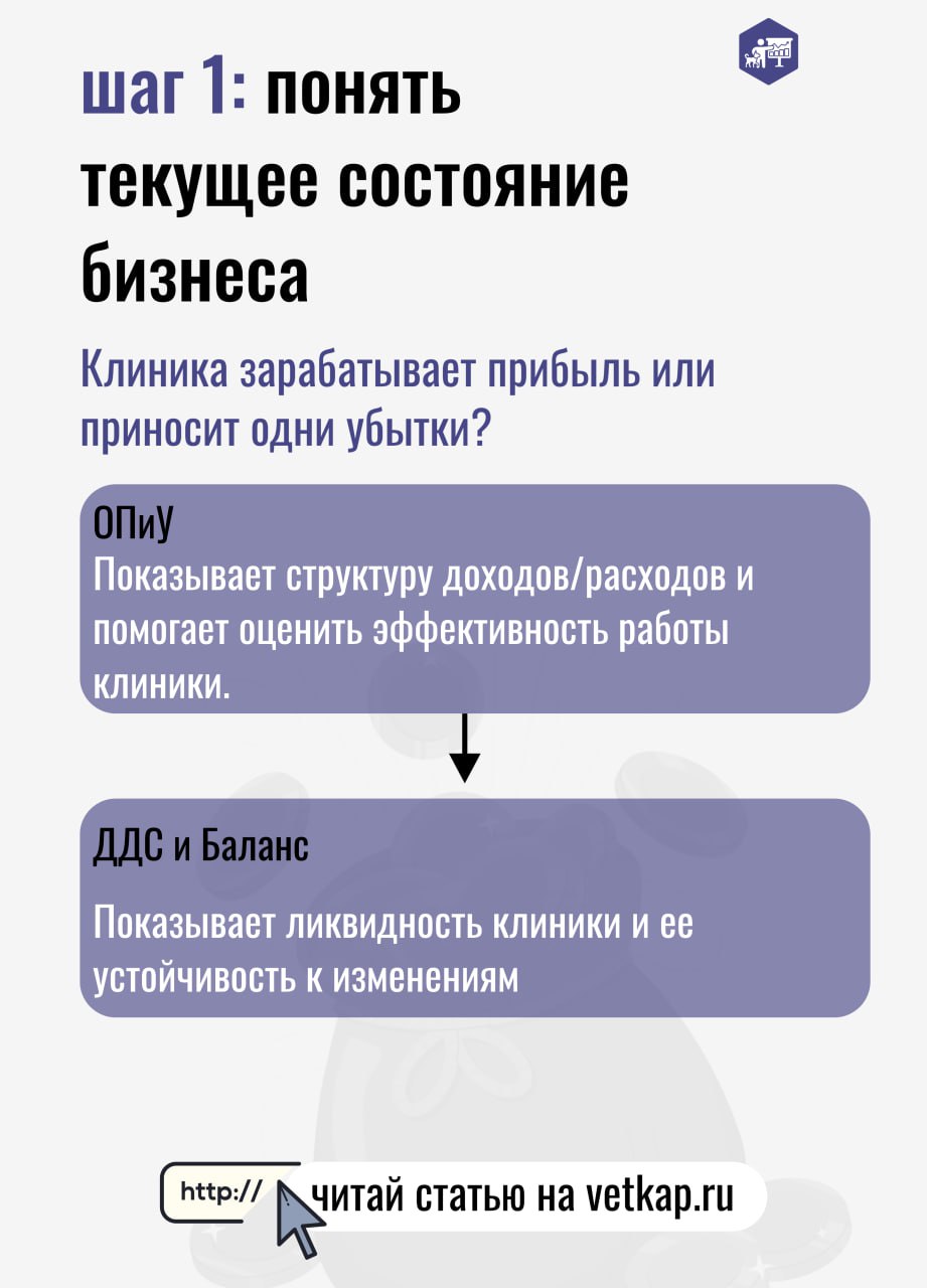 Финансовая подушка для ветеринарных клиник: как копить и выводить | Сетка — социальная сеть от hh.ru