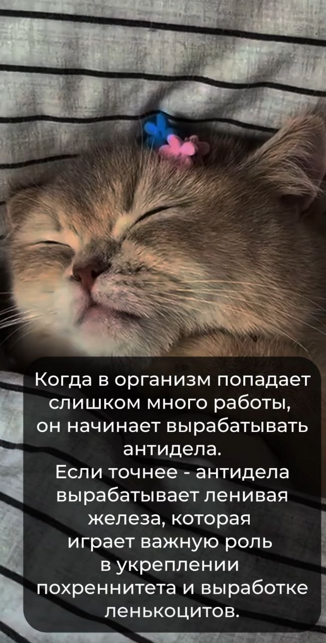 Всем пятницы! 😉 | Сетка — социальная сеть от hh.ru