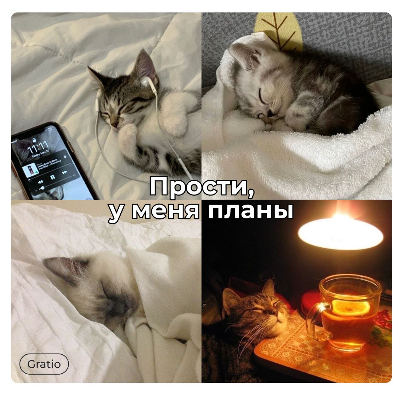 Мои планы на выходные: много гулять, проводить время активно...
Мои планы в итоге: | Сетка — социальная сеть от hh.ru