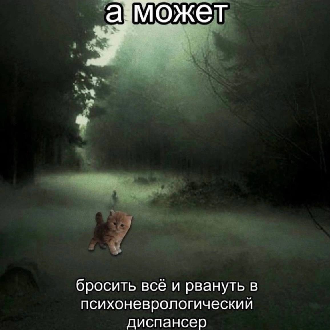 Я утром: *просто хочу свой оффер на четыреста тыщ в минуту и нормальное человеческое *дмс-перфоманс ревью-премию за полугодие
Я вечером: *провела карьерную сессию, созвон со своим проджектом, консульт... | Сетка — социальная сеть от hh.ru