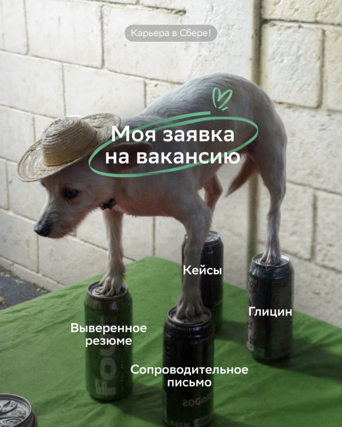 Мы запрограммировали этот пост,..
...чтобы ты подал заявку на вакансии:
🟢 Системный аналитик: https://s.sber.ru/qzlv9n
🟢 Java Developer: https://s.sber.ru/pLFTJm
молча ждём твоё резюме | Сетка — социальная сеть от hh.ru