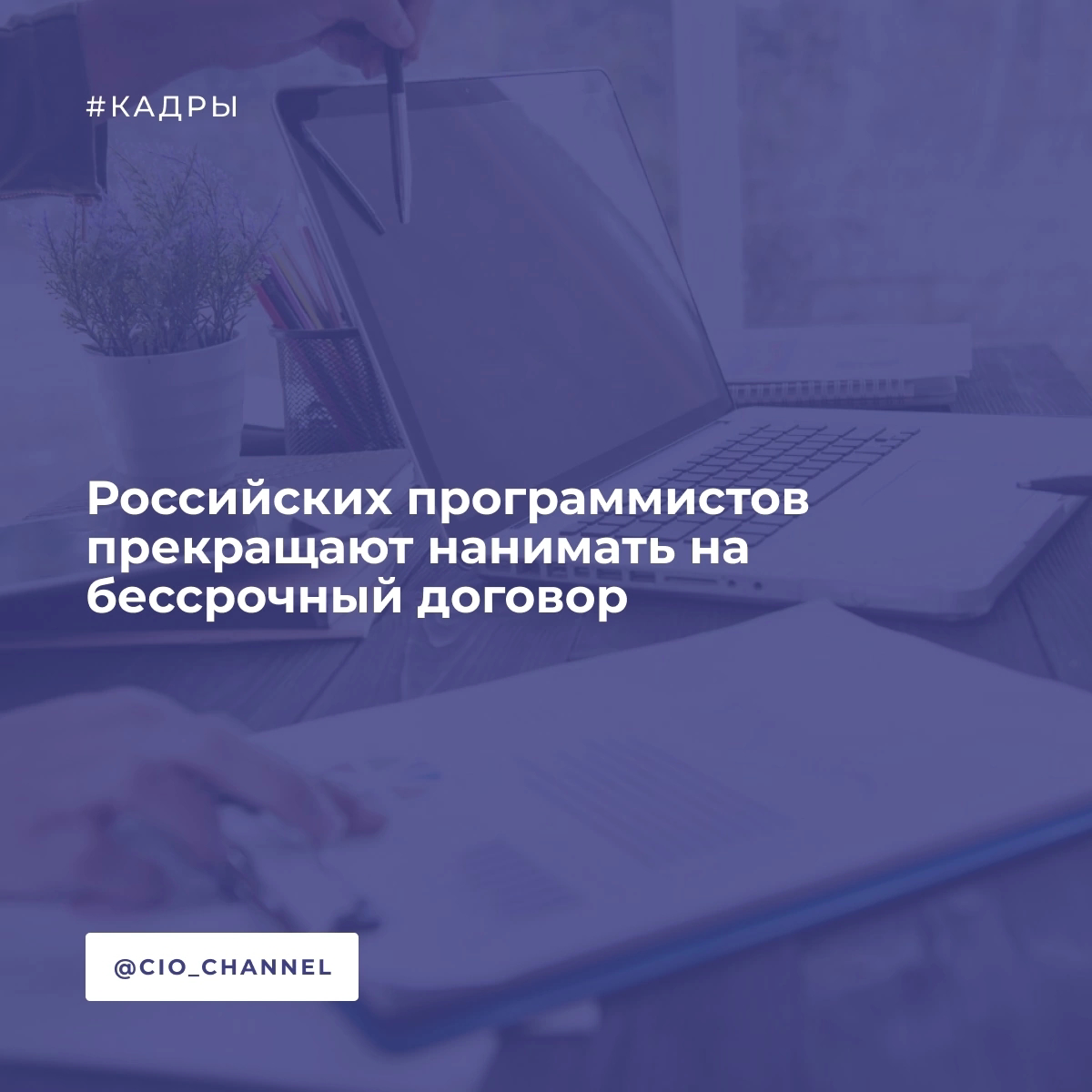 Российских программистов прекращают нанимать на бессрочный договор | Сетка — социальная сеть от hh.ru