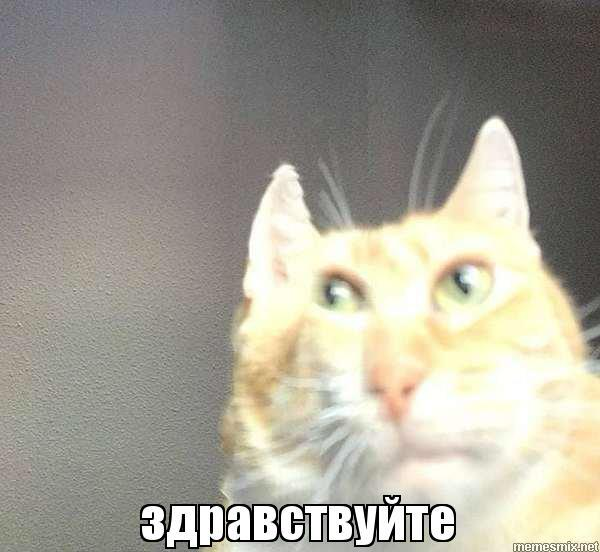 👋 Привет, Сетка! Меня зовут Анна, и я…
…считаю, что нет ничего ценнее, чем помогать людям раскрывать свой потенциал — будь то дети в школе или взрослые в мире больших задач | Сетка — социальная сеть от hh.ru
