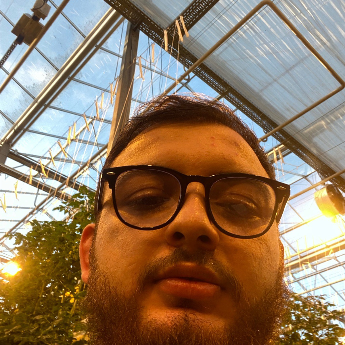 Артем Хачатрян