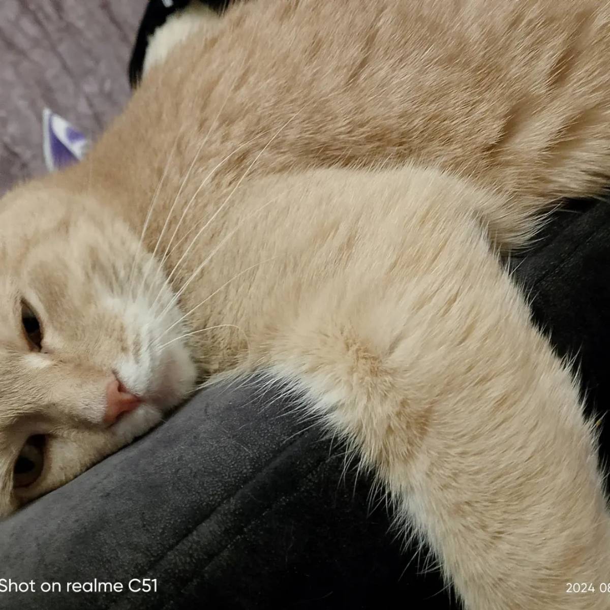 Оганнес Петоян