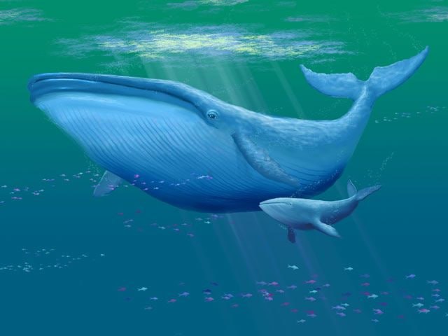 Как я уменьшил размер образа docker на 40%
https://habr.com/ru/articles/791426/ | Сетка — социальная сеть от hh.ru